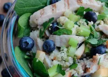 SmallBlueberrySalad compress