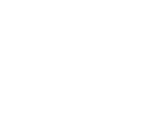 Natural-Acne-Clinic-logo_white